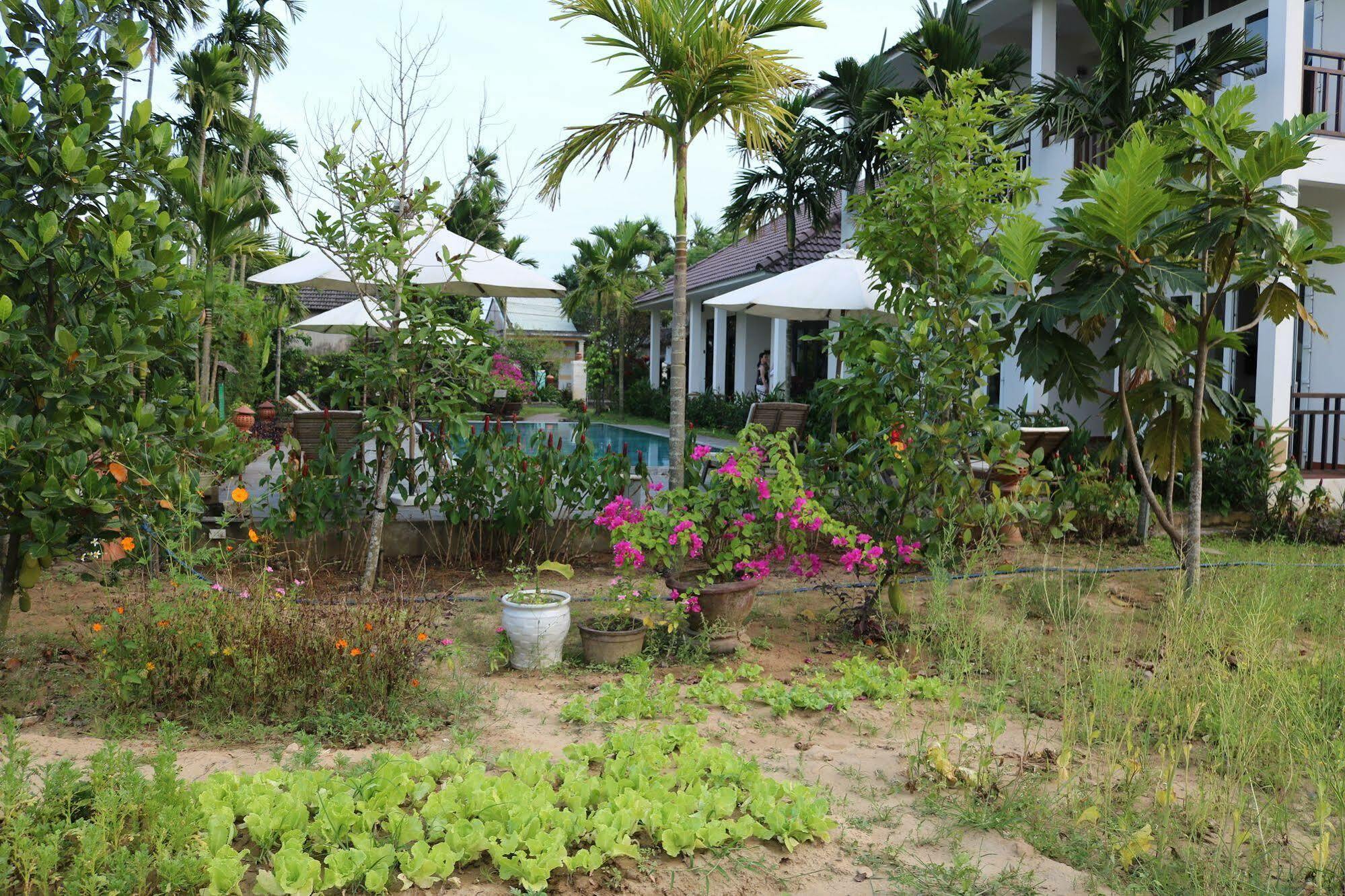Green Areca Villa Hội An Extérieur photo